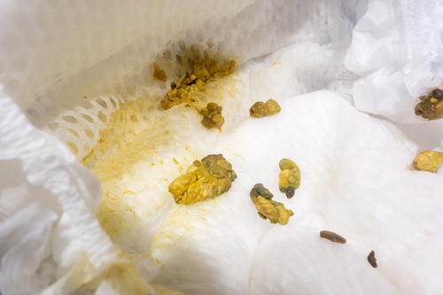 Le Meconium Qu Est Ce Que C Est Mamans Pratiques